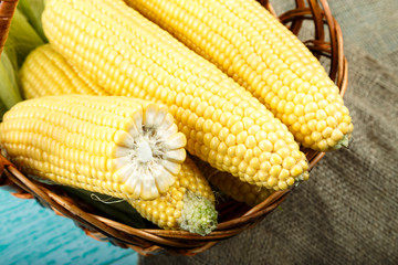 Fresh corn on cobs on rustic wooden table