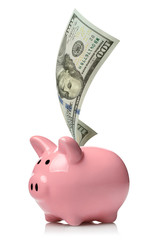 Piggy bank with a 100 dollars banknote, isolated on white background