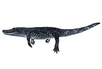 Sketch of alligator isolated on a white background