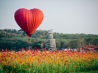 Red hot air balloon in the shape of a heart over cosmos flower field