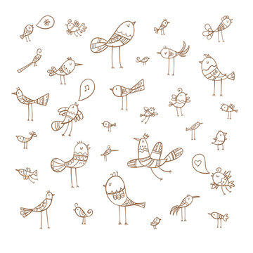 Cartoon birds set. Funny animals collection. Doodle style. Vector contour image no fill.