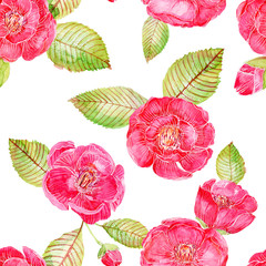 Watercolor pink red sweet Camelia japan flower isolated frame border on white background for card wallpaper invitation