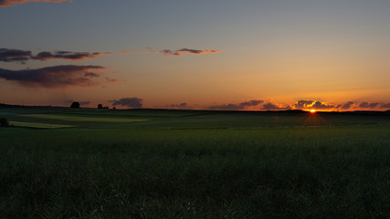 sunset over green field
