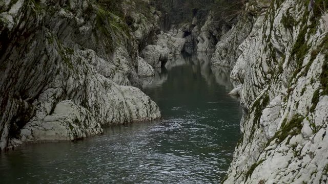 Canyon Devil's Gate in Sochi, Russia. Yew-boxwood grove. Mountain stream.