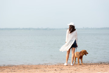 Asian lifestyle woman standing and playing with golden retriever friendship dog in sunrise outdoor...