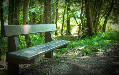 Park Bench