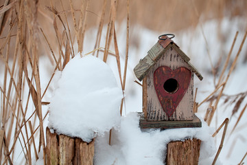 cute little birdhouse with heart