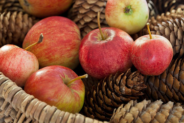 rustic winter still life with apples