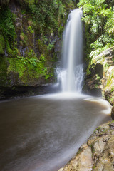 Kaiate Falls, North Island, New Zealand