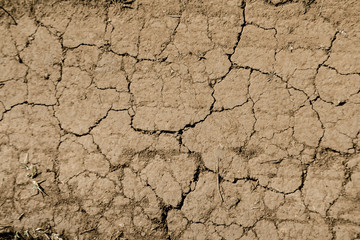 Texture of dry brown cracked earth. Lack of moisture on the soil, drought. The concept of dehydration land. Photo as wallpaper. Minimalistic background design. Place for text