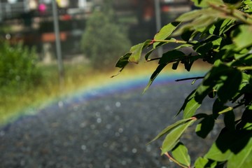 Rainbow in the street, lucky sign