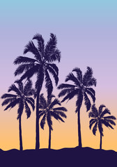 Fototapeta na wymiar Palm trees on an orange blue sunset, vector art illustration.