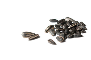 Sunflower seeds isolated on white background.Copy space