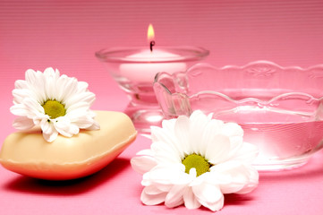 Fototapeta na wymiar wellness and spa with daisy flower, candle and bowl of water in pink style like body care concept 