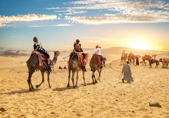 Camels and tourists