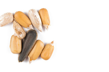 Sunflower seeds isolated on white background.Copy space