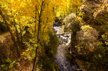Rio Genil en su paso por Maitena, Guejar Sierra, Granada (Espa&ntilde;a)