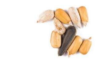 Sunflower seeds isolated on white background.Copy space