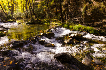 Fototapeta premium Rio Genil w drodze przez Maitena, Guejar Sierra, Granada (Hiszpania)