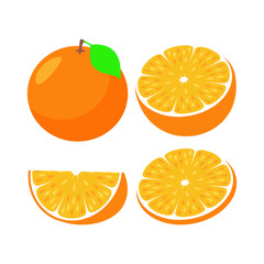 Orange fruit slice. Whole and half orange vector illustration