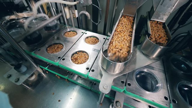 Pieces of bread snacks are getting prepacked at a food factory.