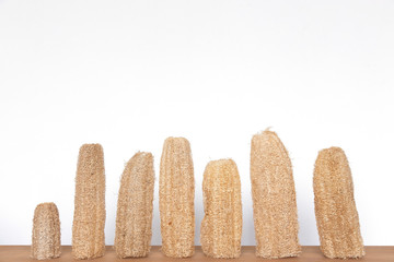 luffa sponge on white background.