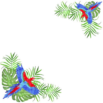 watercolor frame tropical parrot macaw palm leaves and monstera bird