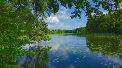 Fototapeta na wymiar river Brda in the area of ​​Bożenkowo