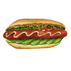 Fast food, tasty hot dog, isolated, watercolor illustration.