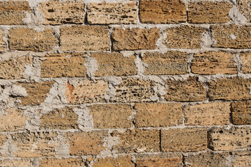Background wall of shell rock. Shell rock. Texture of the wall of stone.