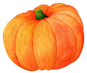 Watercolor orange pumpkin illustration isolated on white background.Hand drawn. Design food element. Food ingredient for restaurant menu, cafe, symbol autumn holiday.