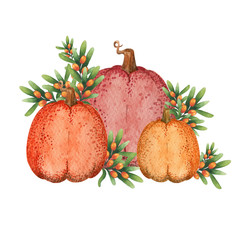 Beautiful watercolor hand drawn composition with sea buckthorn and pumpkins. Isolated on white background.