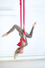 caucasian woman is doing fly yoga exercises in white yoga studio on red hammock