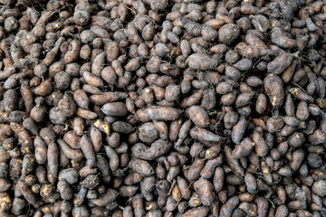 Stack of Raw Purple Yams Background.