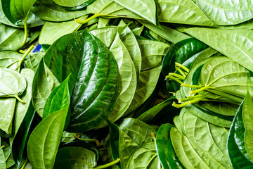 Fototapeta premium Betel Leaves for Sale in Market.