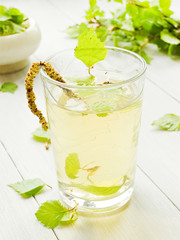 Birch tree drink