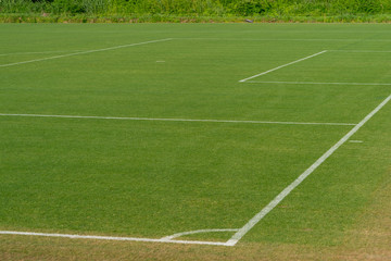 天然芝　サッカーグラウンド
