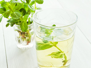 Mint tea in glass