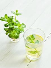 Mint tea in glass