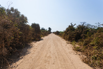 Brazilian dirt road in perspective