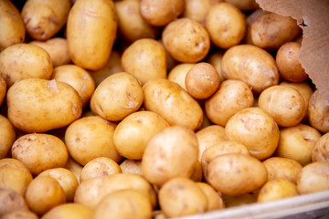 Potatoes at the market display