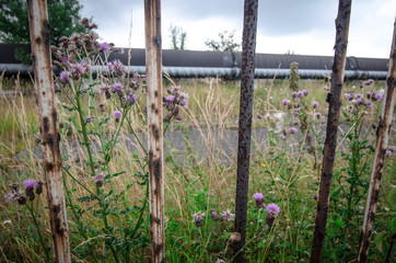 Fototapeta premium View through rusty metal fence of abandoned site of former steelworks