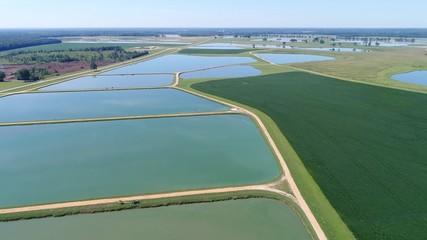 this shot was taken by fly-over Drone of Catfish farm in Alabama