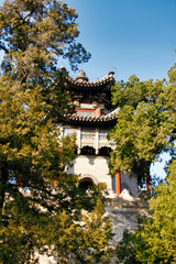 Obraz premium temple in japan