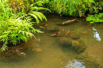 真夏のフラワーパーク