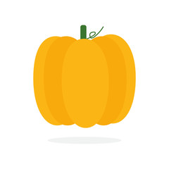 Orange pumpkin vector illustration. Autumn halloween pumpkin, vegetable graphic icon or print, isolated on background.