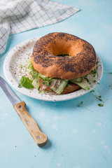 Fresh bagel with bacon, cheese and cucumber