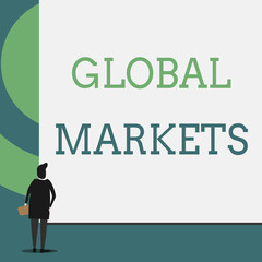 Text sign showing Global Markets. Business photo showcasing Trading goods and services in all the countries of the world Back view young woman watching blank big rectangle. Geometrical background