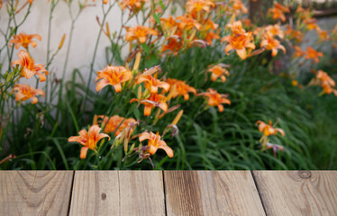 Blurred background of forest park garden with wooden table