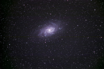 M33 渦巻銀河